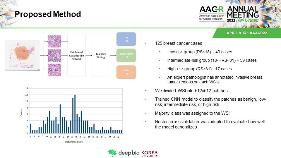 Patch-level classification and majority-voting pipeline for recurrence risk