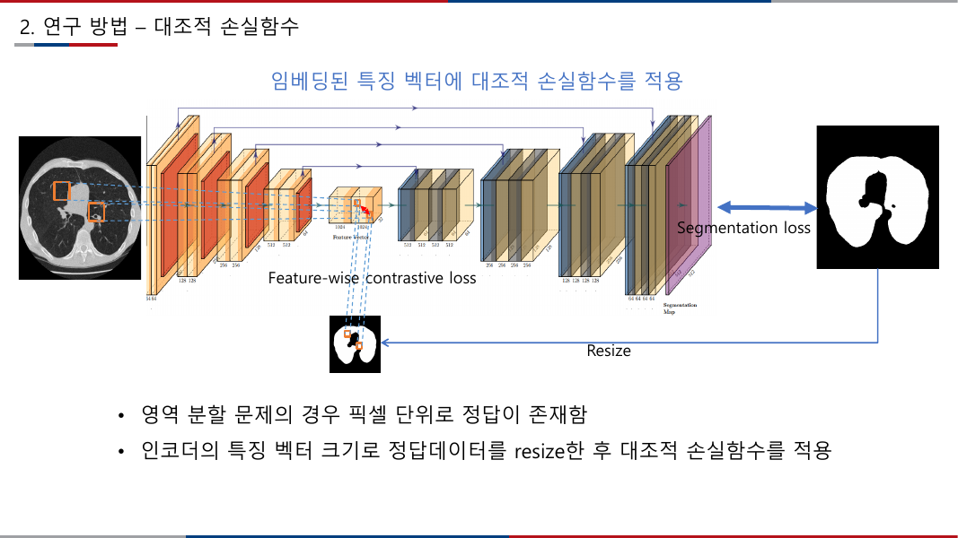 U-Net with feature-wise contrastive loss on encoder embeddings