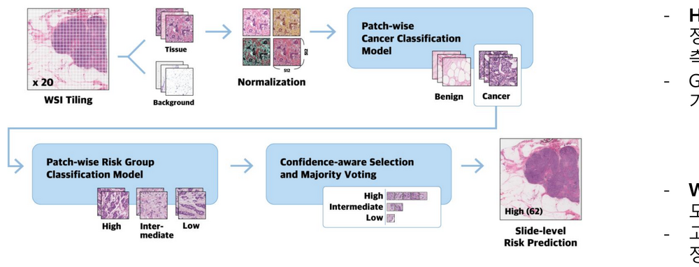 H&E WSI tiling to slide-level risk prediction pipeline