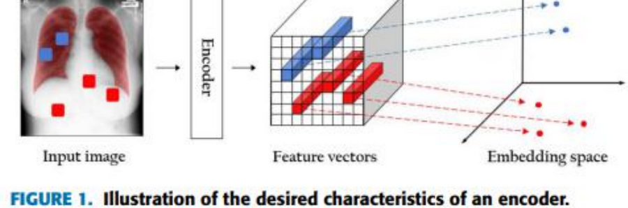 Encoder embedding-space illustration for supervised contrastive learning