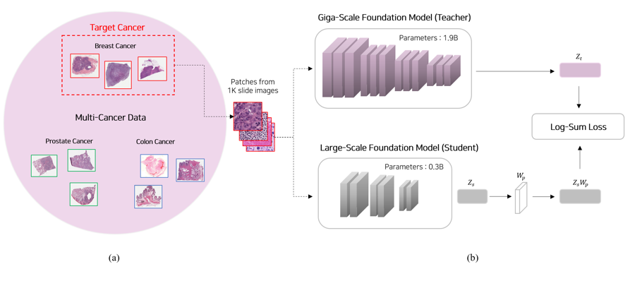 G2L knowledge-distillation framework overview