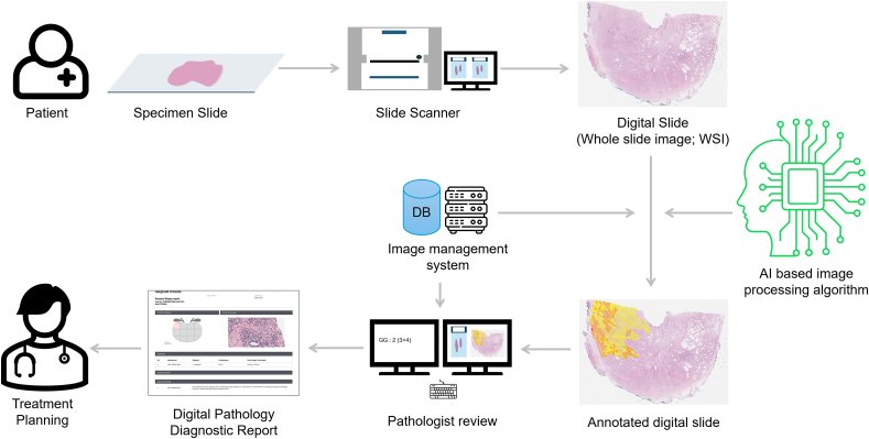 AI-based digital pathology workflow from specimen slide to diagnostic report