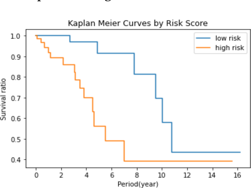 Kaplan-Meier survival curves by AI risk score